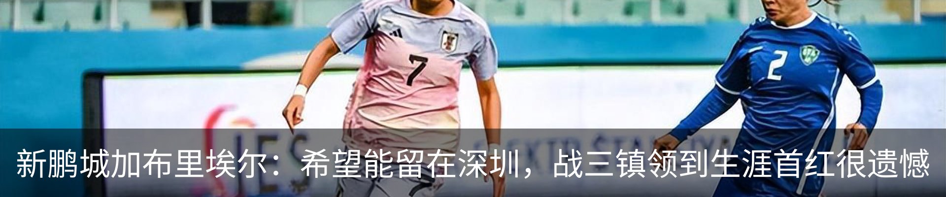 新闻动态